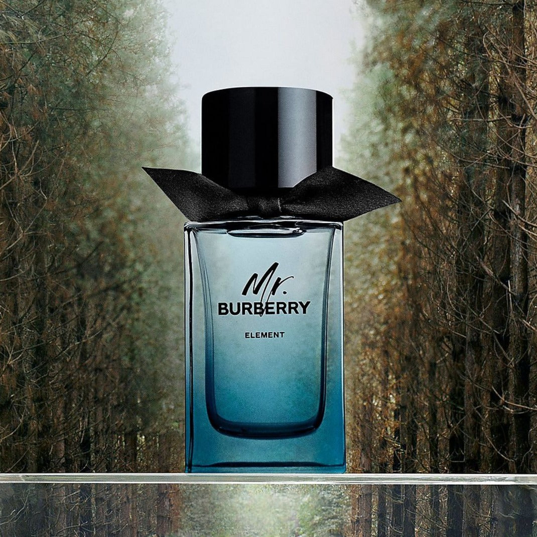 Burberry Mr. Burberry Element Eau De Toilette for Men